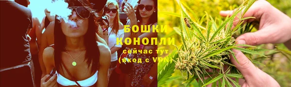 PSILOCYBIN Михайловка