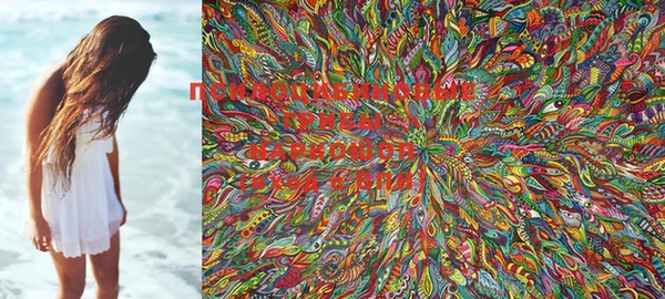 PSILOCYBIN Михайловка