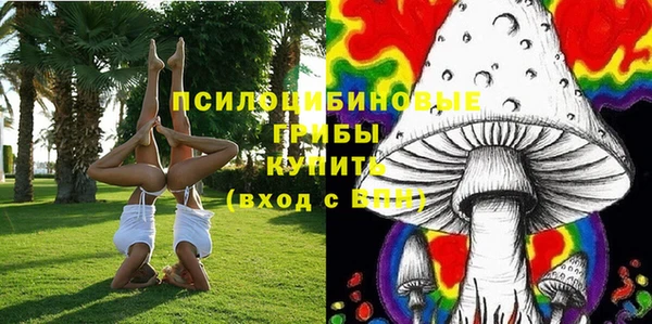 PSILOCYBIN Михайловка